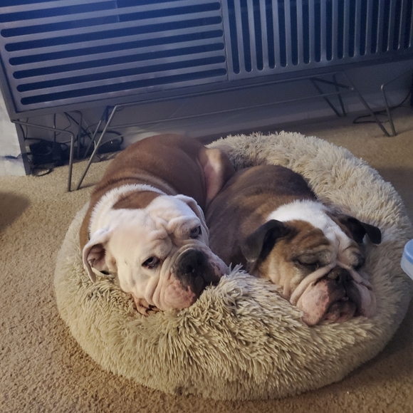 10000000 - Picture 4 of 4